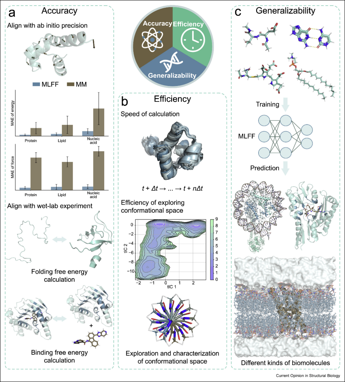 Prof. Wang's Team Reviews Advances in AI-Driven Biomolecular Simulations